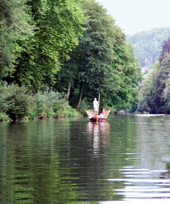Ein Stocherkahn in der tübinger Neckar Landschaft.