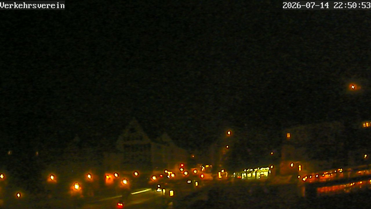 Webcam Tübingen - Livebild der Neckarfront