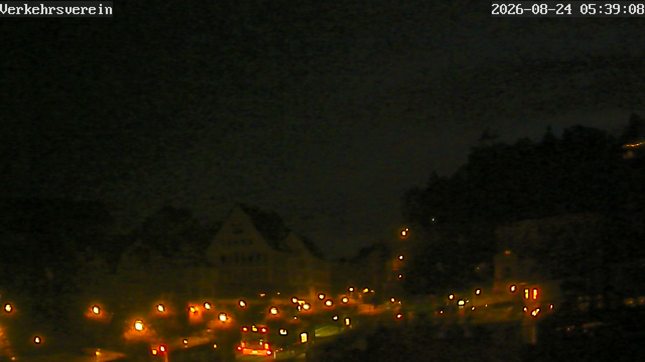 Webcam Tübingen - Livebild der Neckarfront