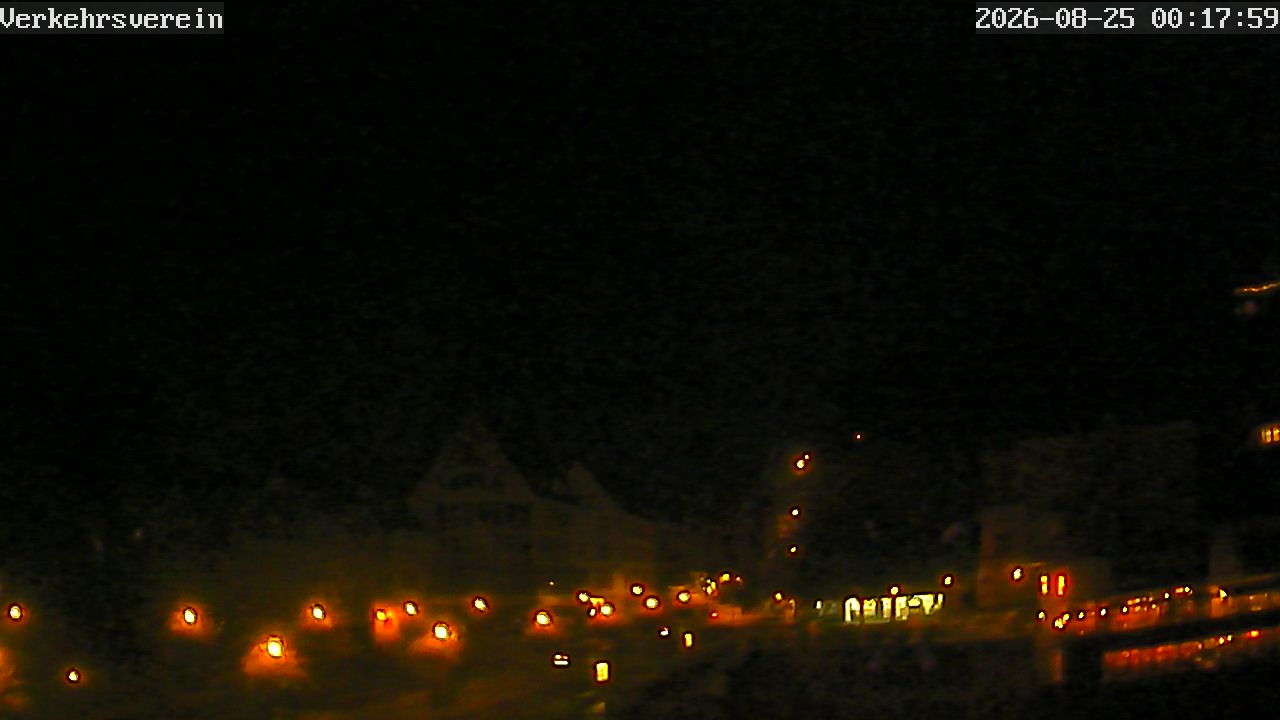 Webcam Tübingen - Livebild der Neckarfront
