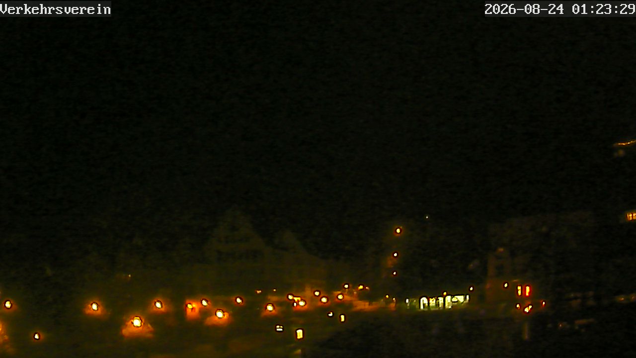Webcam Tübingen - Livebild der Neckarfront