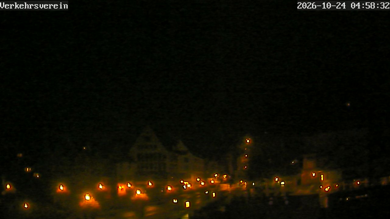 Webcam Tübingen - Livebild der Neckarfront