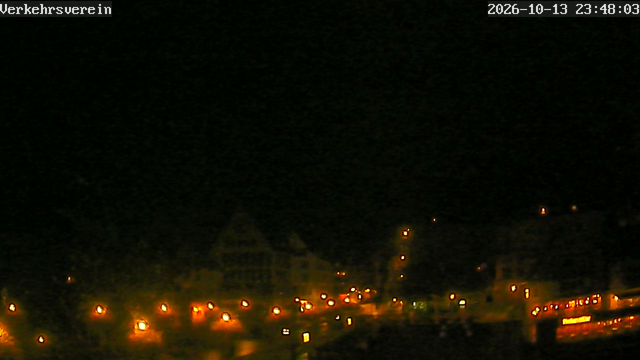 Webcam Tübingen - Livebild der Neckarfront
