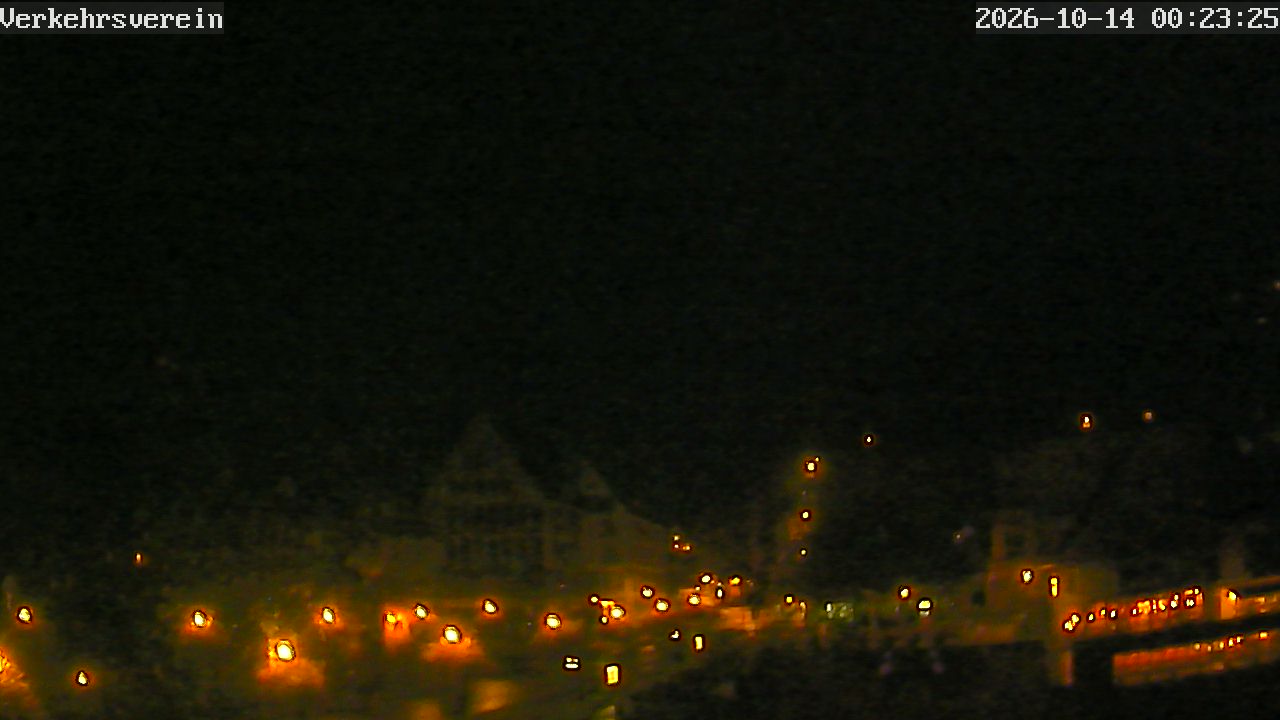 Webcam Tübingen - Livebild der Neckarfront